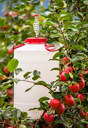 siderdunk